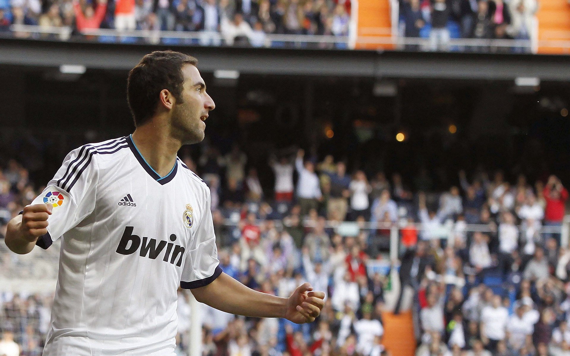 公牛队逐步崭露头角,迎接未来,公牛队是啥